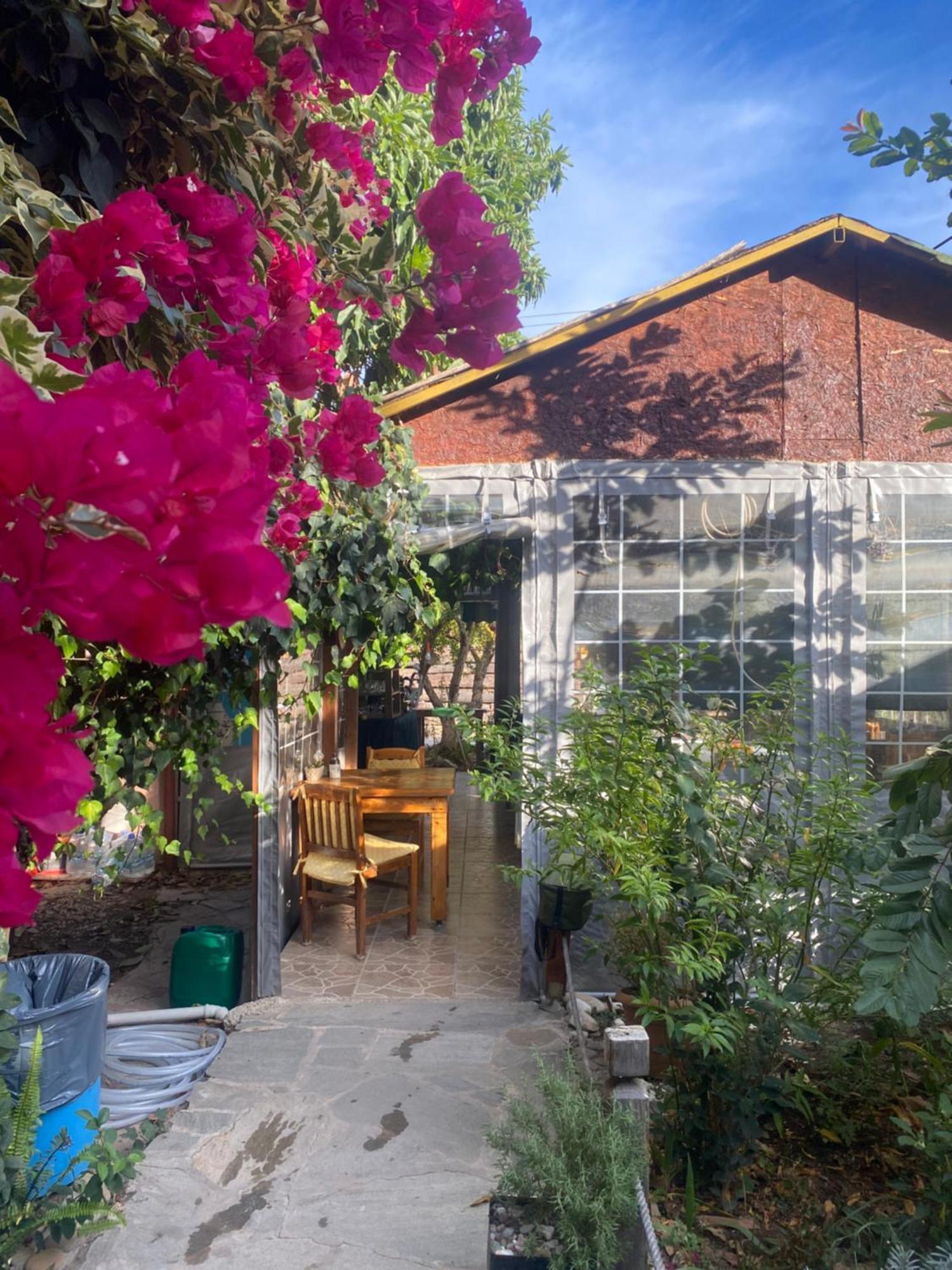 Rosemary Pansiyon Çıralı Exterior foto
